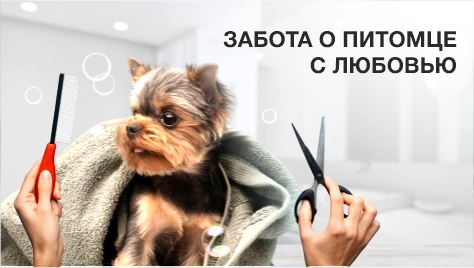 Забота о питомце Забота о питомце