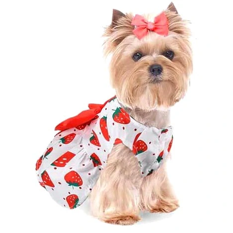 Платье для кошек и собак мелких пород Бонита на прогулке, клубнички, размер ХL, длина спинки 32-34см_7
