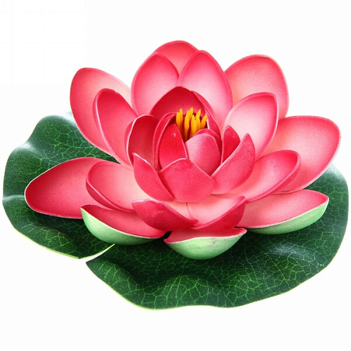 Растение водоплавающее "Кувшинка Розитта" d-15см розовая