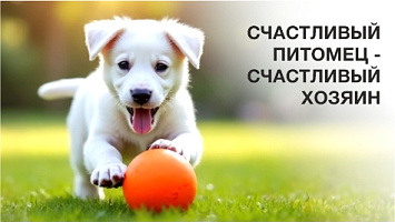 Счастливый питомец - Счастливый хозяин