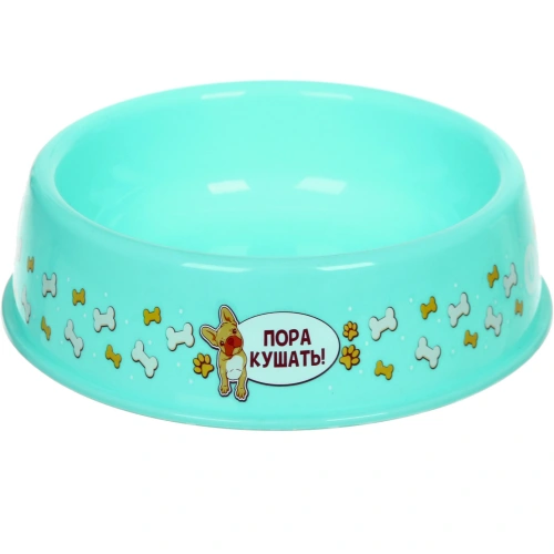 Миска пластиковая "МОЙ БРО! - Пора кушать!, цвет мятный, 21*6,5см (логотип на миске) 700 мл
