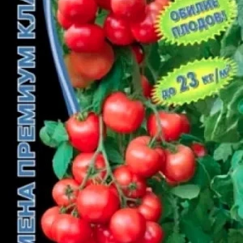 Семена Томат Герман - кистевой F1 10шт (УД) Е/П