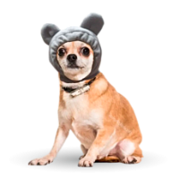 Головные уборы