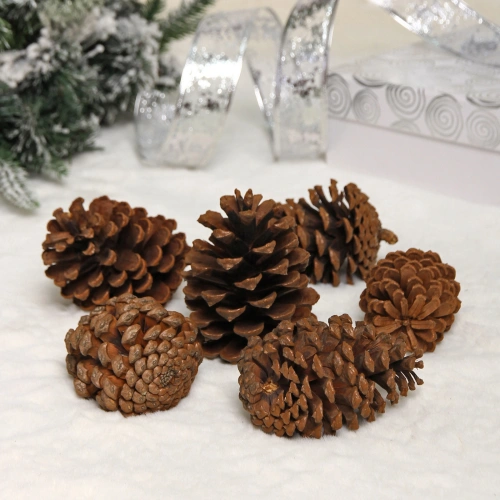 Композиция новогодняя "Волшебные шишки" (набор 6 шт) 8 см