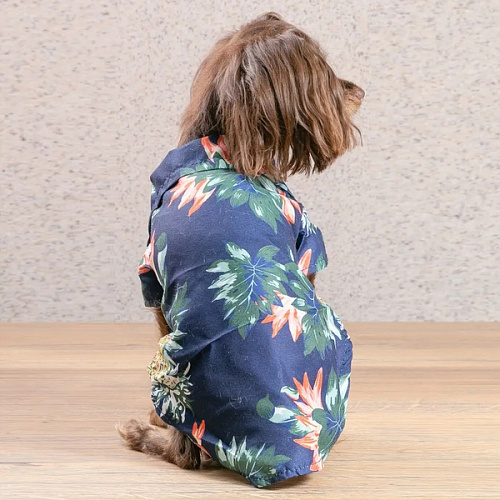 Рубашка для собак и кошек малых и средних пород СТИЛЬНЫЙ БРО, цвет синий, принт ананасы с цветами, размер M_13