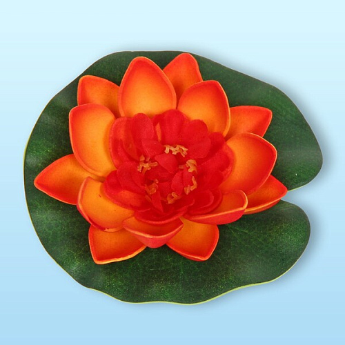 Растение водоплавающее Кувшинка d-10см оранжевая_6