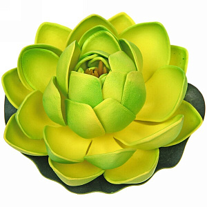 Растение водоплавающее "Кувшинка Розитта" d-10см зеленая