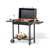 Пикник и шашлык