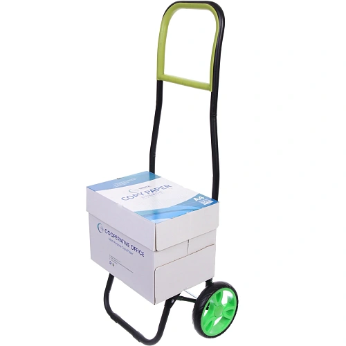 Тележка хозяйственная с сумкой (932538см, колеса 16см,грузоподъемность до 30 кг) салатовая DC307_10