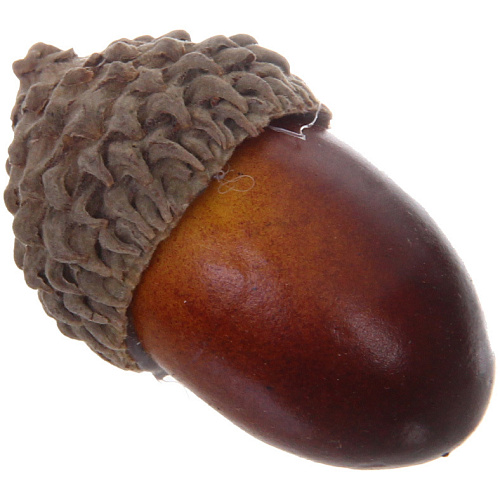 Муляж Желуди 50шт в сетке_4