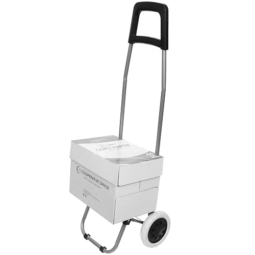 Тележка хозяйственная с сумкой (923327см, колеса 16см,грузоподъемность до 30 кг) черная DC308AG_14