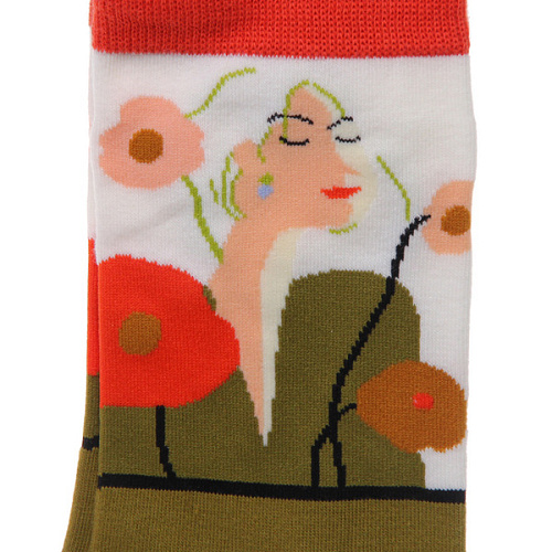 Носки женские ARTE - Грация с рисунком, микс_7