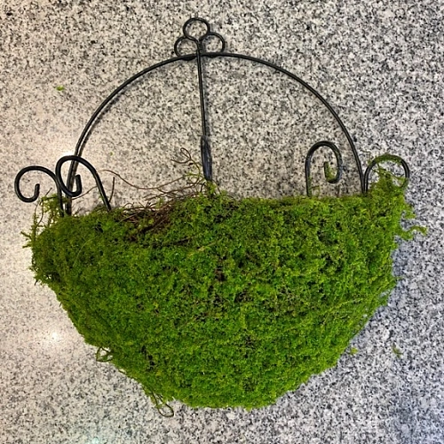 Кашпо для цветов "Сфагнум" с кокосовым волокном, настенное d=25см, мох