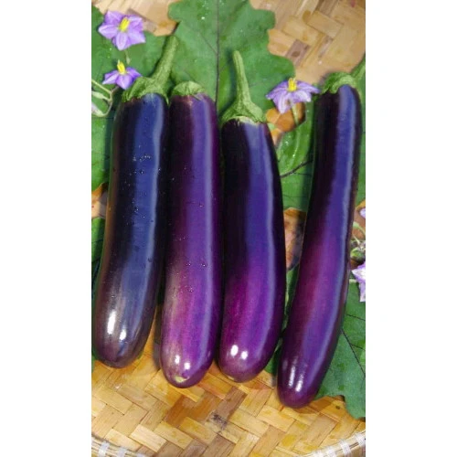 Семена Баклажан Деликатесный фиолетовый 0,25гр (Марс) Б/П