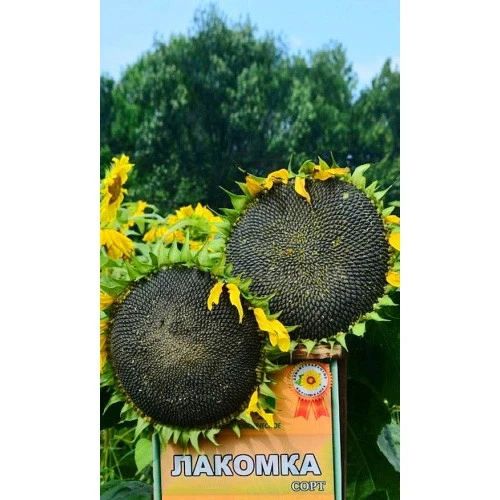 Семена Подсолнечник Лакомка 3гр (УД) Е/П