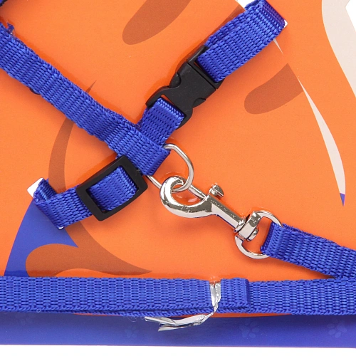 Шлейка с поводком Веселая прогулка 120см цвет синий Ultramarine_3