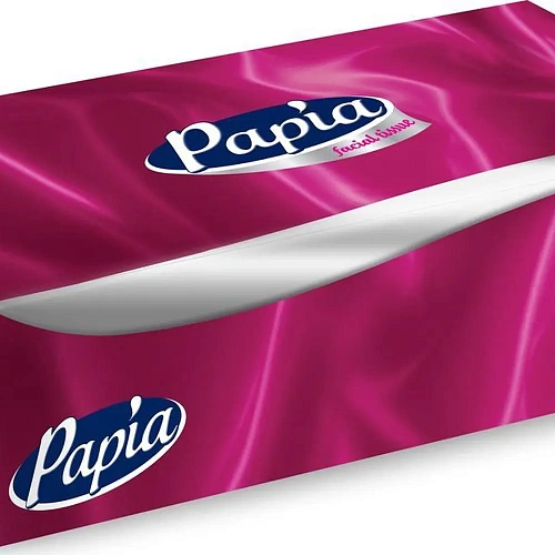 Салфетки бумажные косметические PAPIA 2 сл., 100л (пенал)