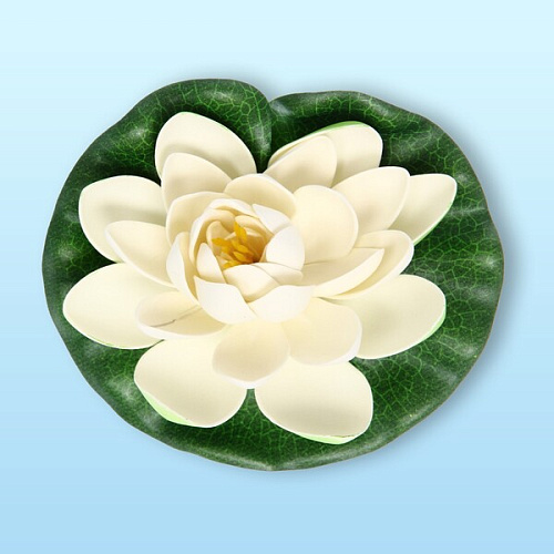 Растение водоплавающее Кувшинка Розитта d-15см белая_5