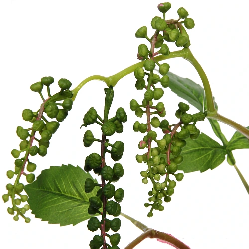 Цветок искусственный Natur 80см Лаконос_3