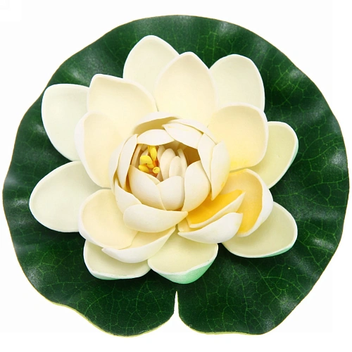 Растение водоплавающее Кувшинка Розитта d-13см белая_6