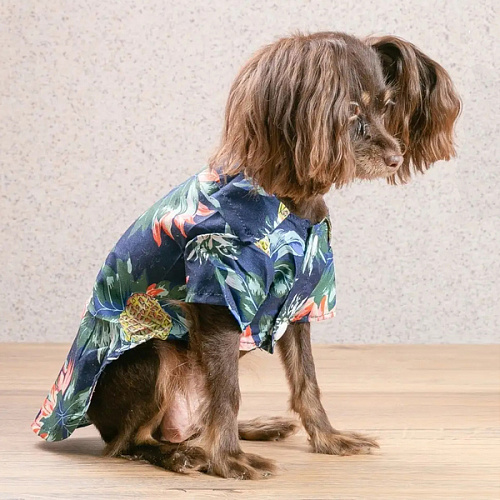 Рубашка для собак и кошек малых и средних пород СТИЛЬНЫЙ БРО, цвет синий, принт ананасы с цветами, размер L_16