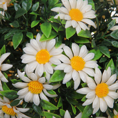 Искусственное растение шар Самшит цветы белые D-20см Ultramarine_3