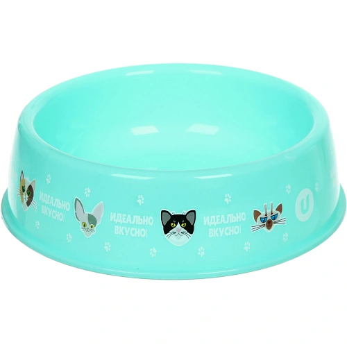 Миска пластиковая МОЙ БРО - Идеально вкусно!, цвет мятный  216,5см (логотип на миске) 700мл_3